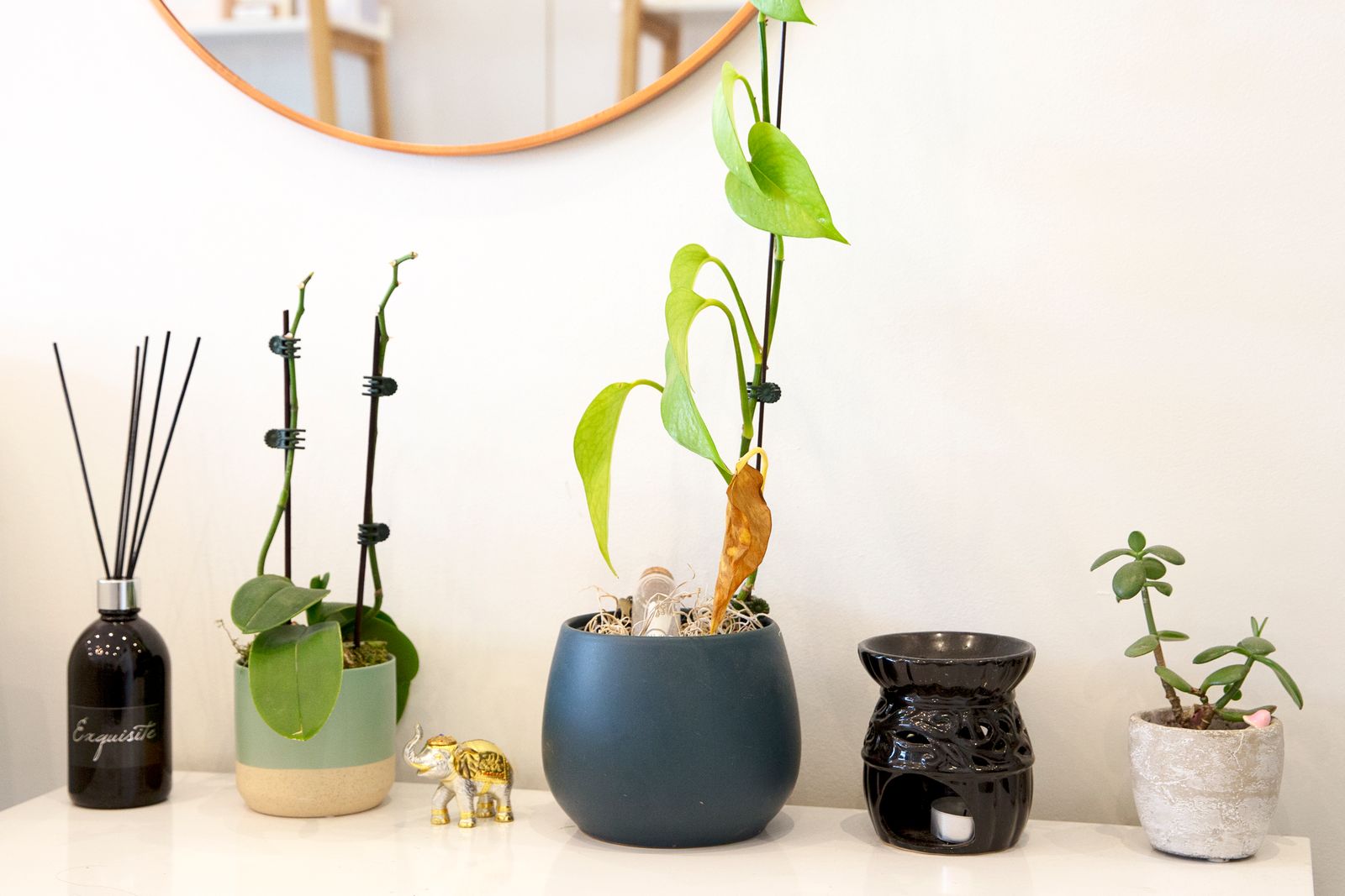 Lash & Brow Co by Zoe image 9