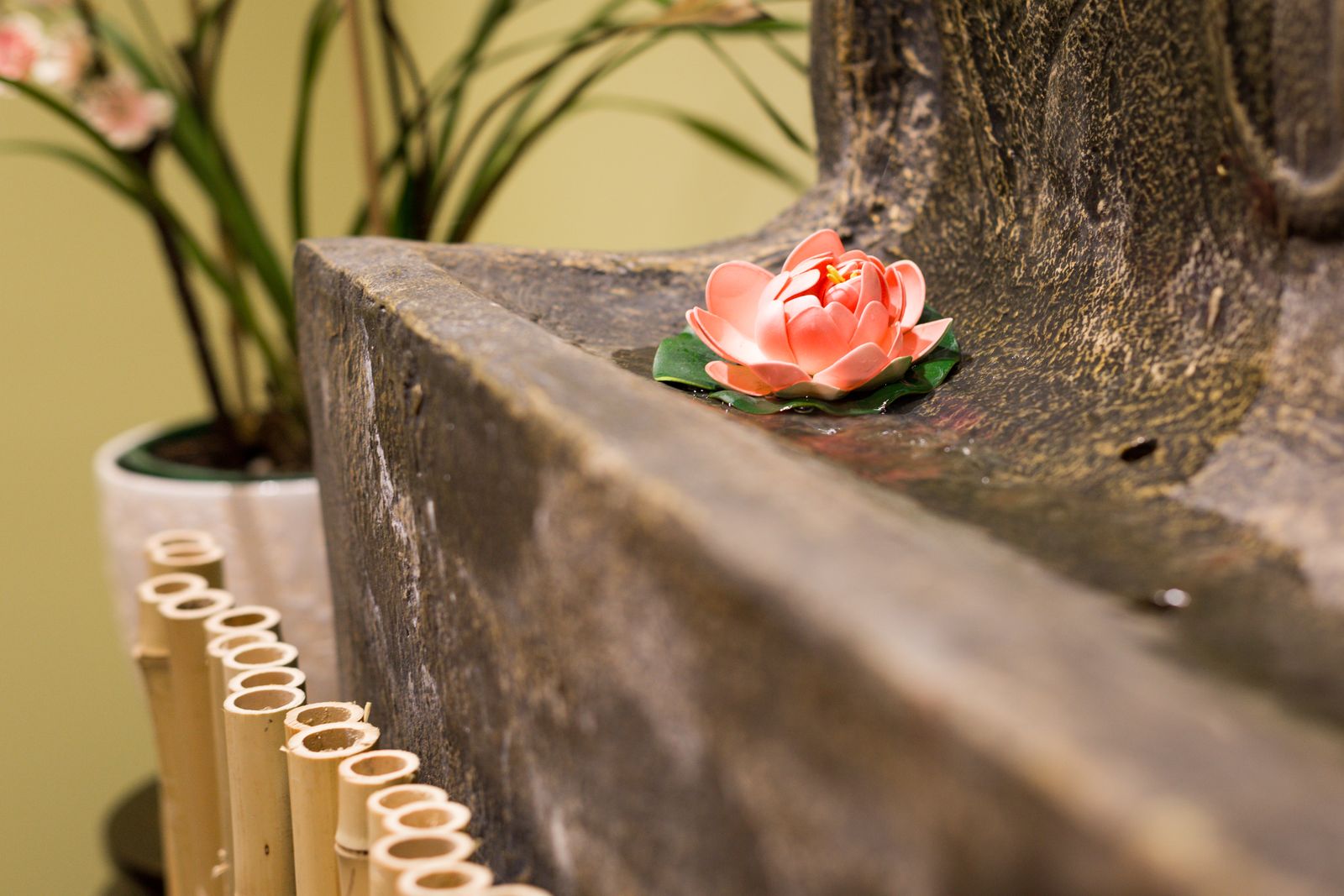 Serendipity Miss Beauty- CBD image 11