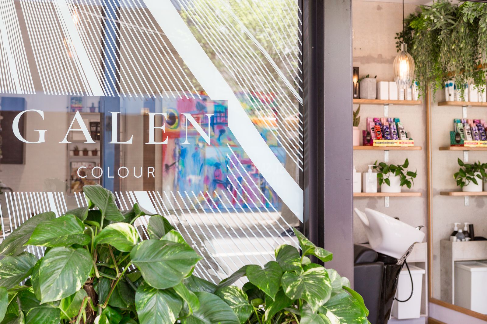 Galen Colour image 12