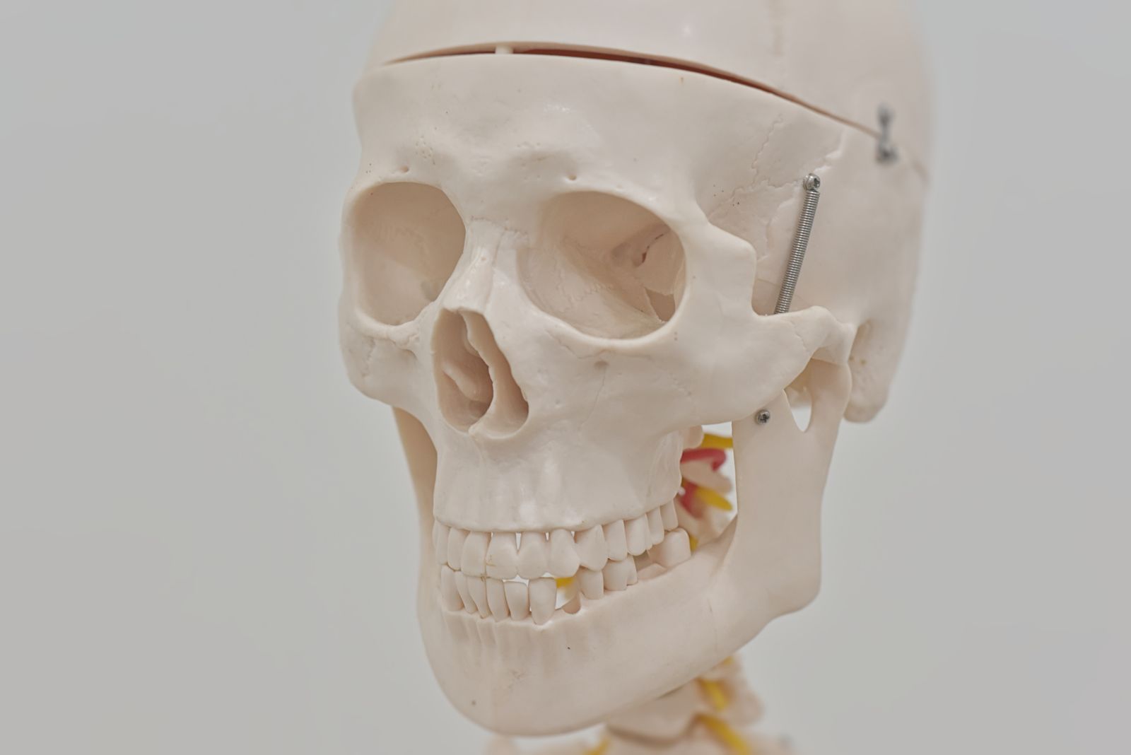 Motion Myotherapy Northcote Remedial Massage Melbourne image 9