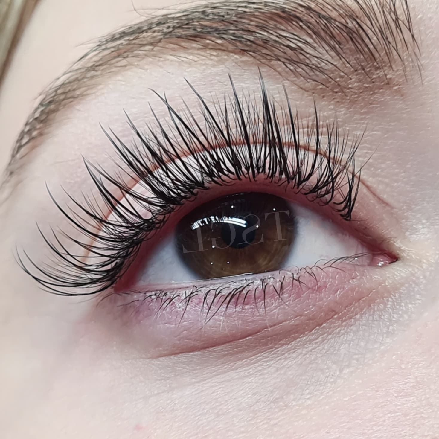 The Seven Great Lashes image 17