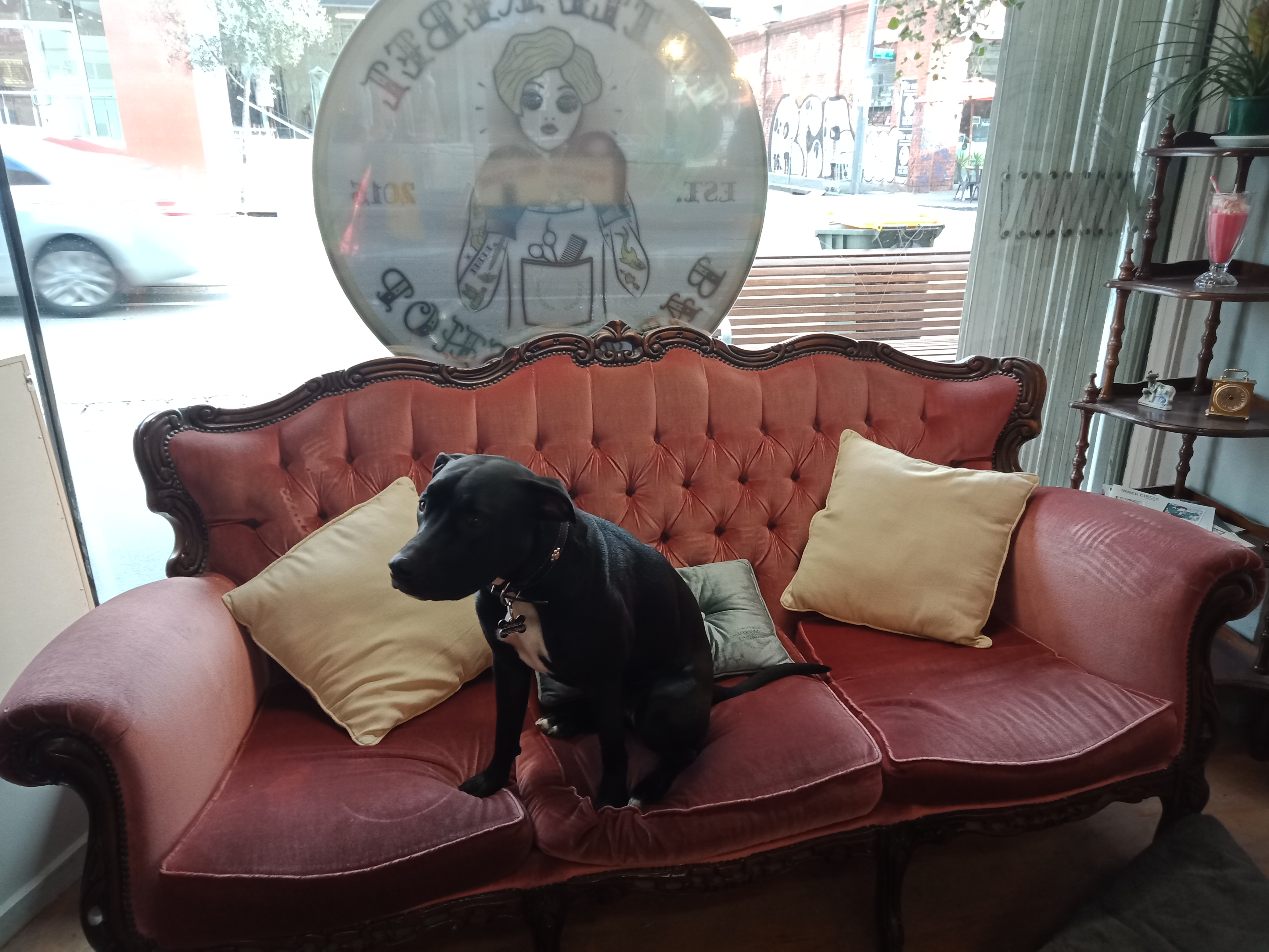 Little Rebel Barbershop image 3