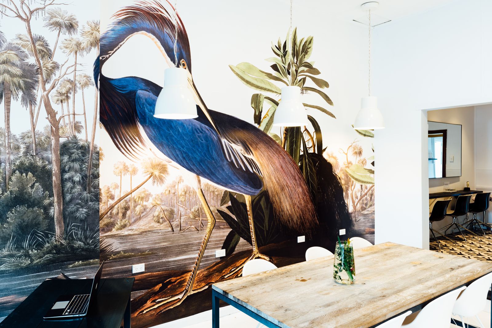 Vincent & Dupree image 8