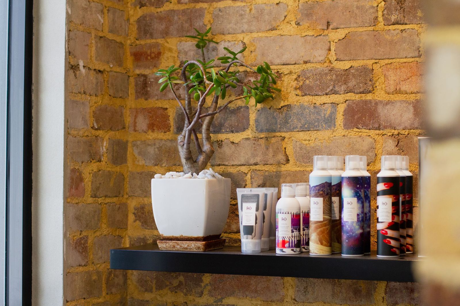 Marc & Maxwell image 5