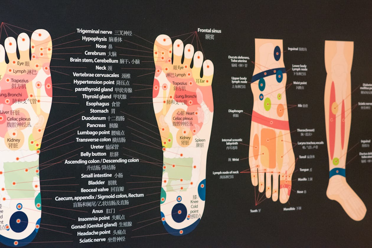 Zen Oriental Holistic Health - Northland image 10