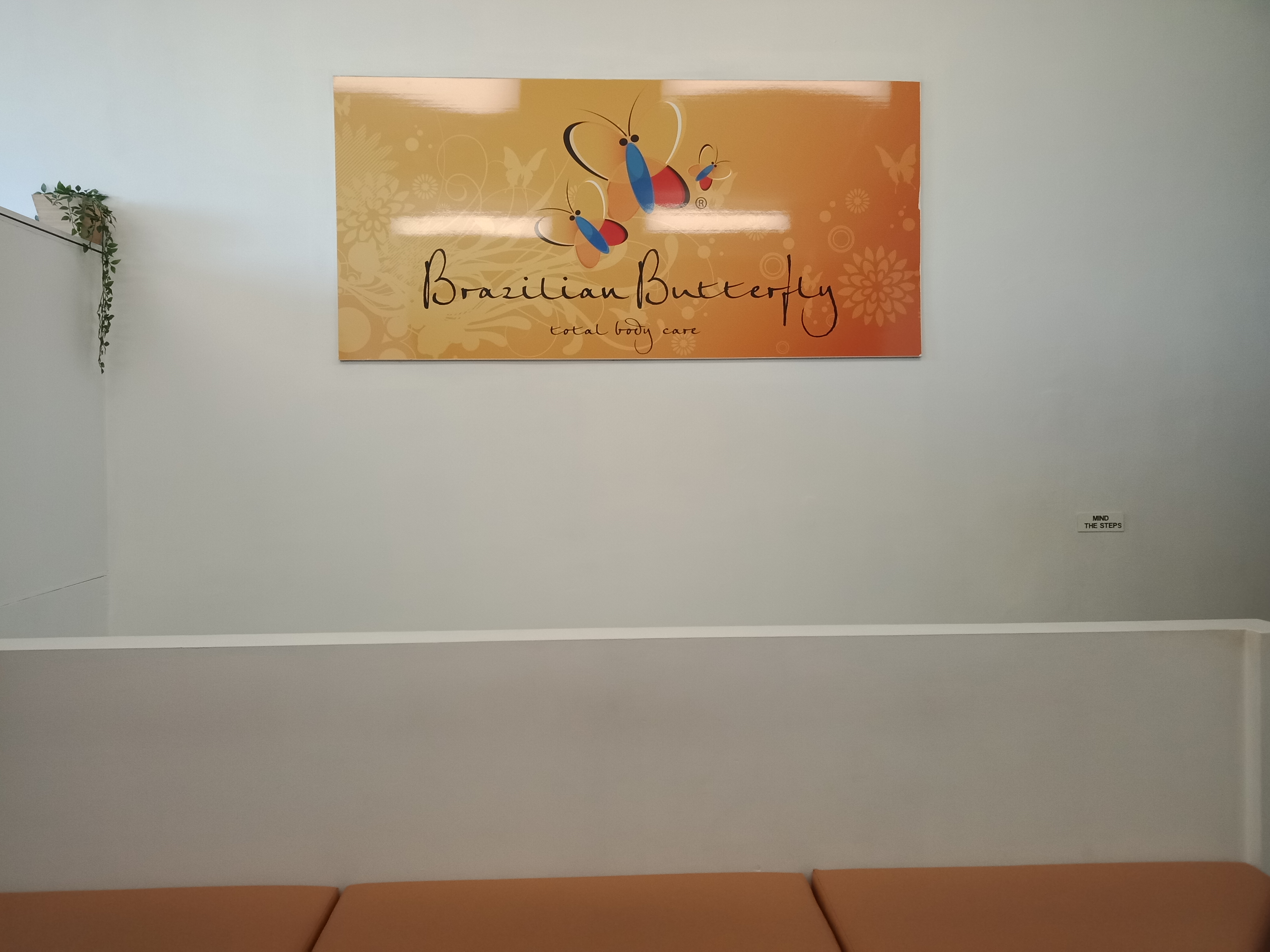 Brazilian Butterfly - Richmond image 3