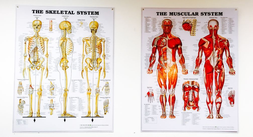 Stable Massage - CBD image 4