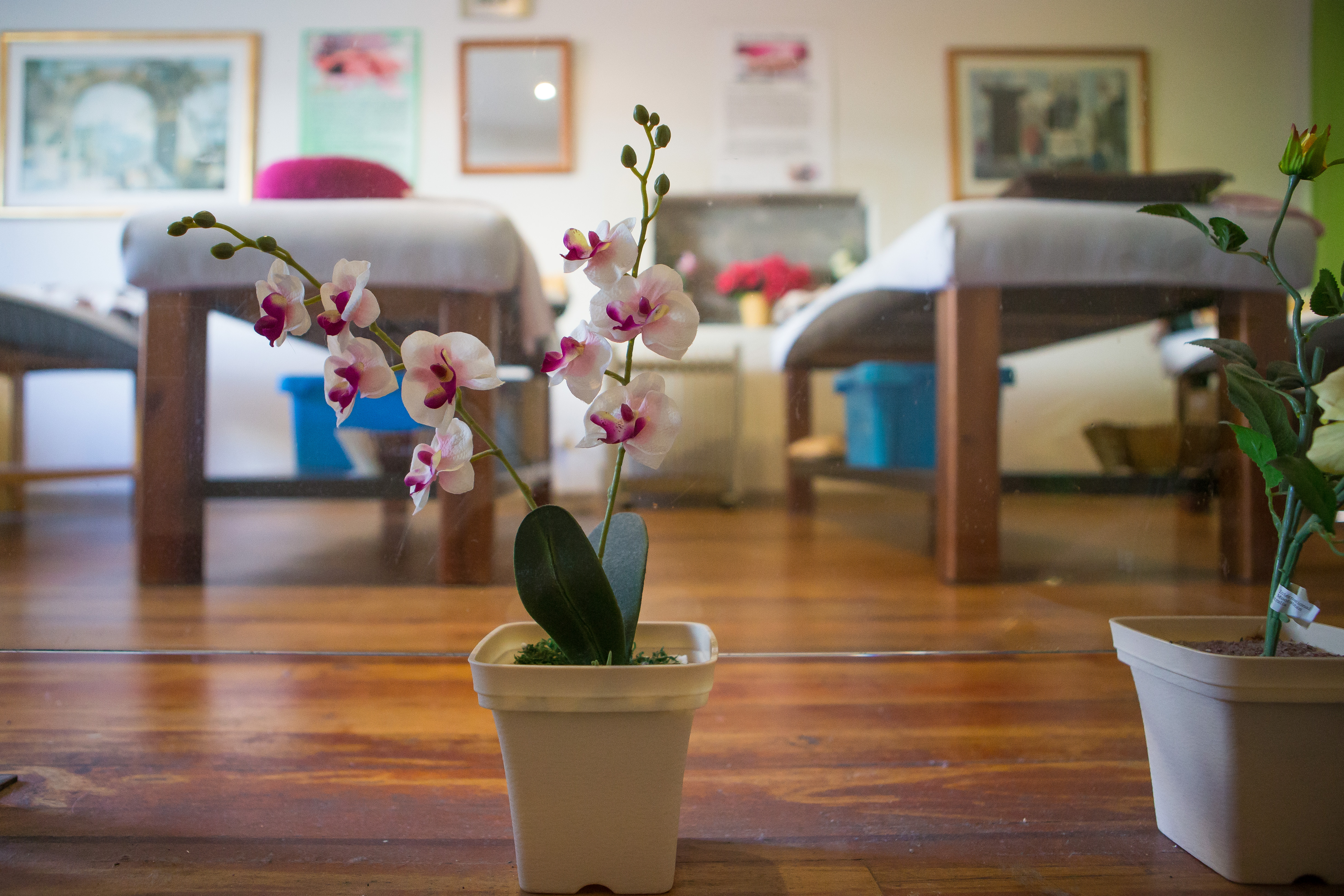 Shen Chinese Medicine - South Melbourne Market image 7