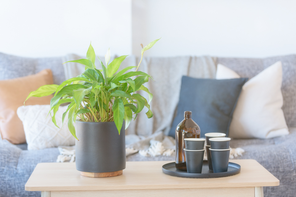 Liebe Wellness image 9