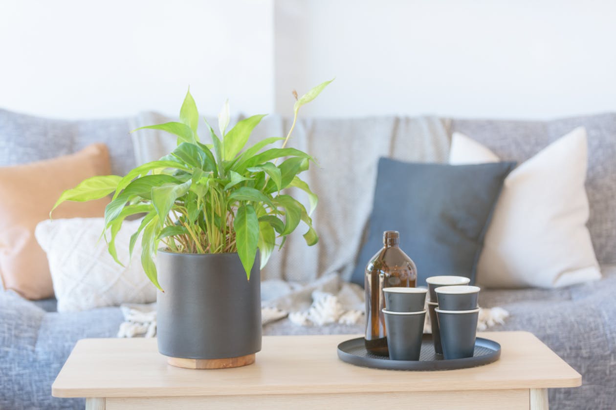 Liebe Wellness image 9