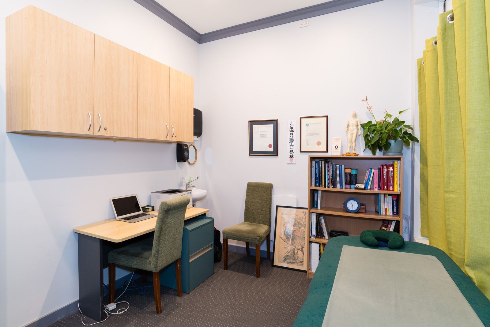 Acupuncture On Wheels - Marrickville image 3