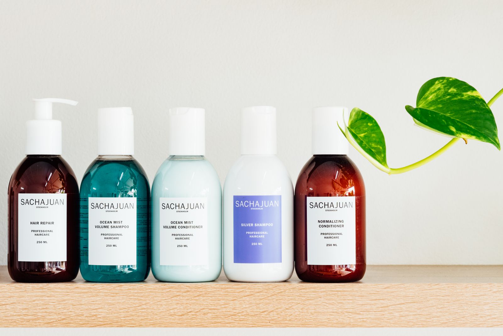 Lit & Scott image 13