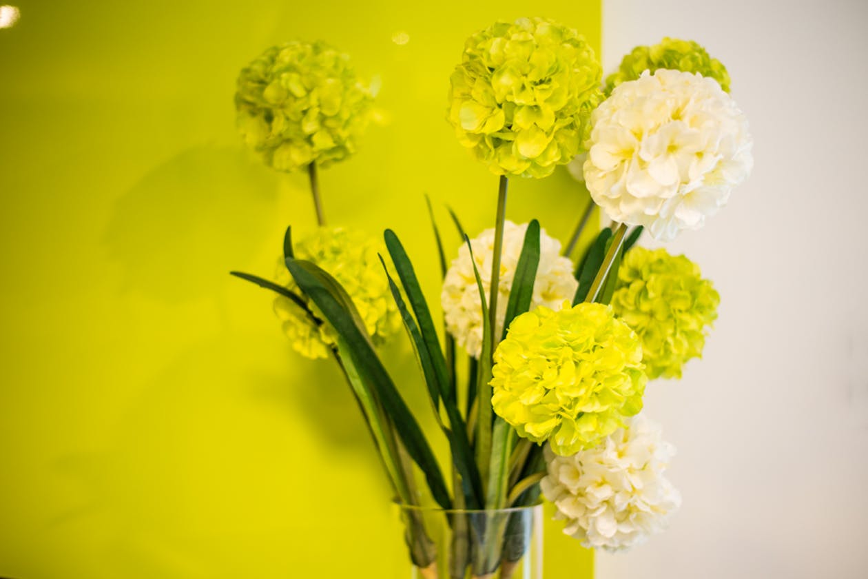 Total Bliss Health and Beauty image 15