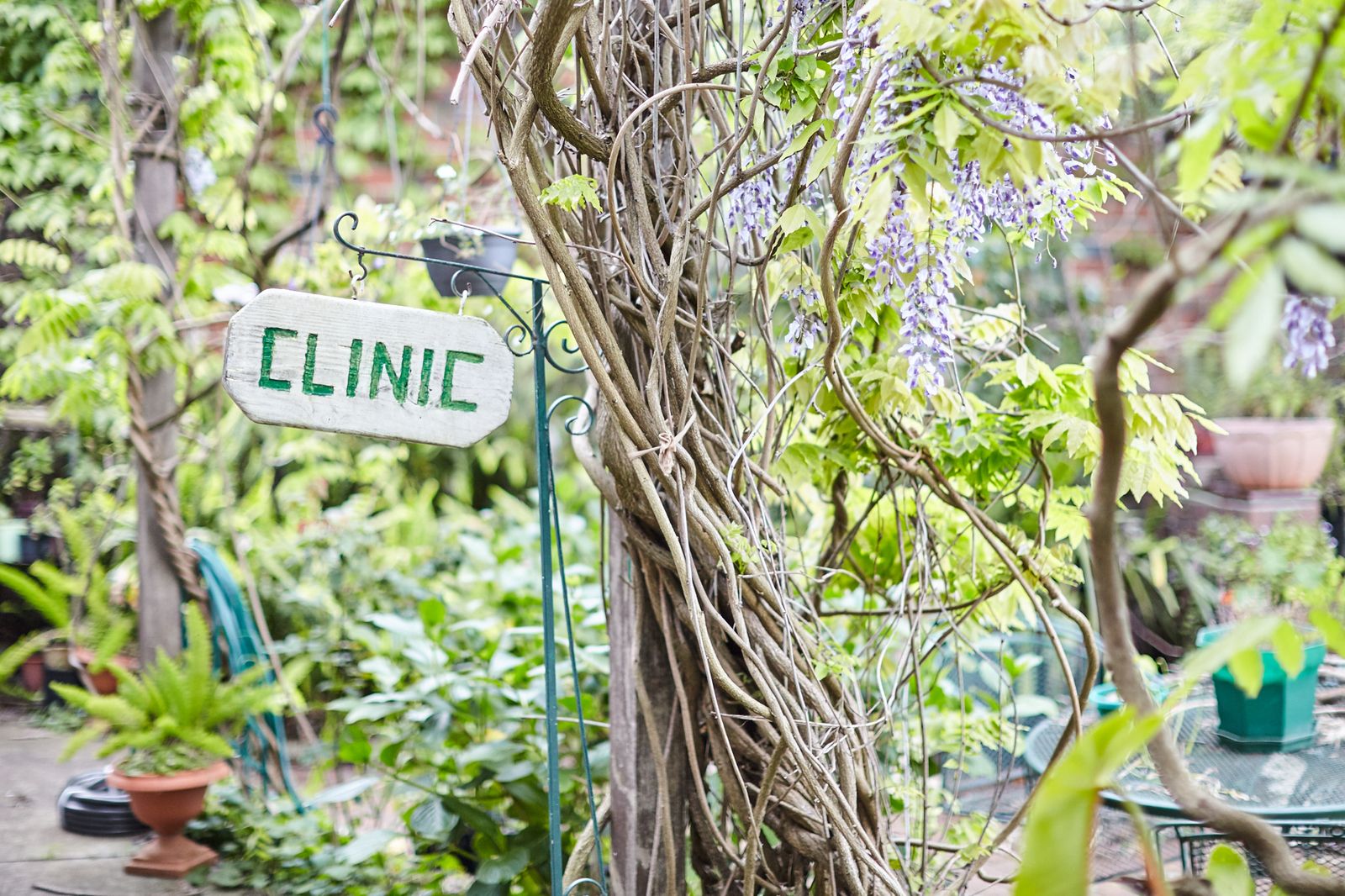 Mornington Kinesiology - Margaret Howden image 7