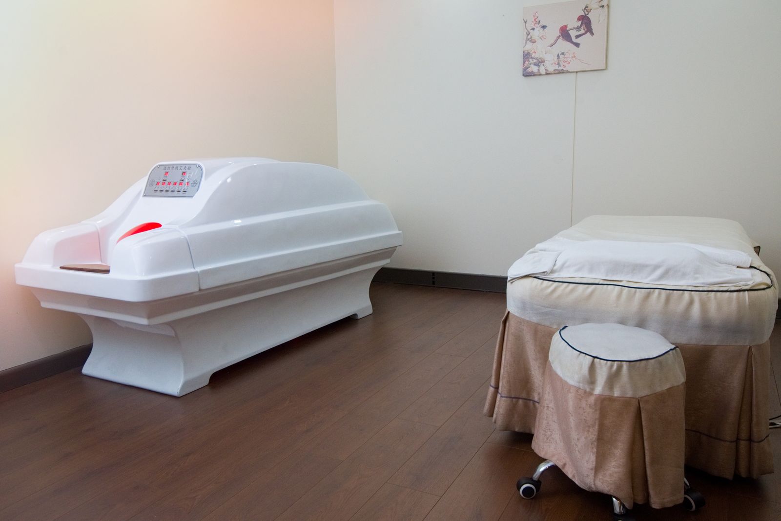 The Gratia's Beauty image 5