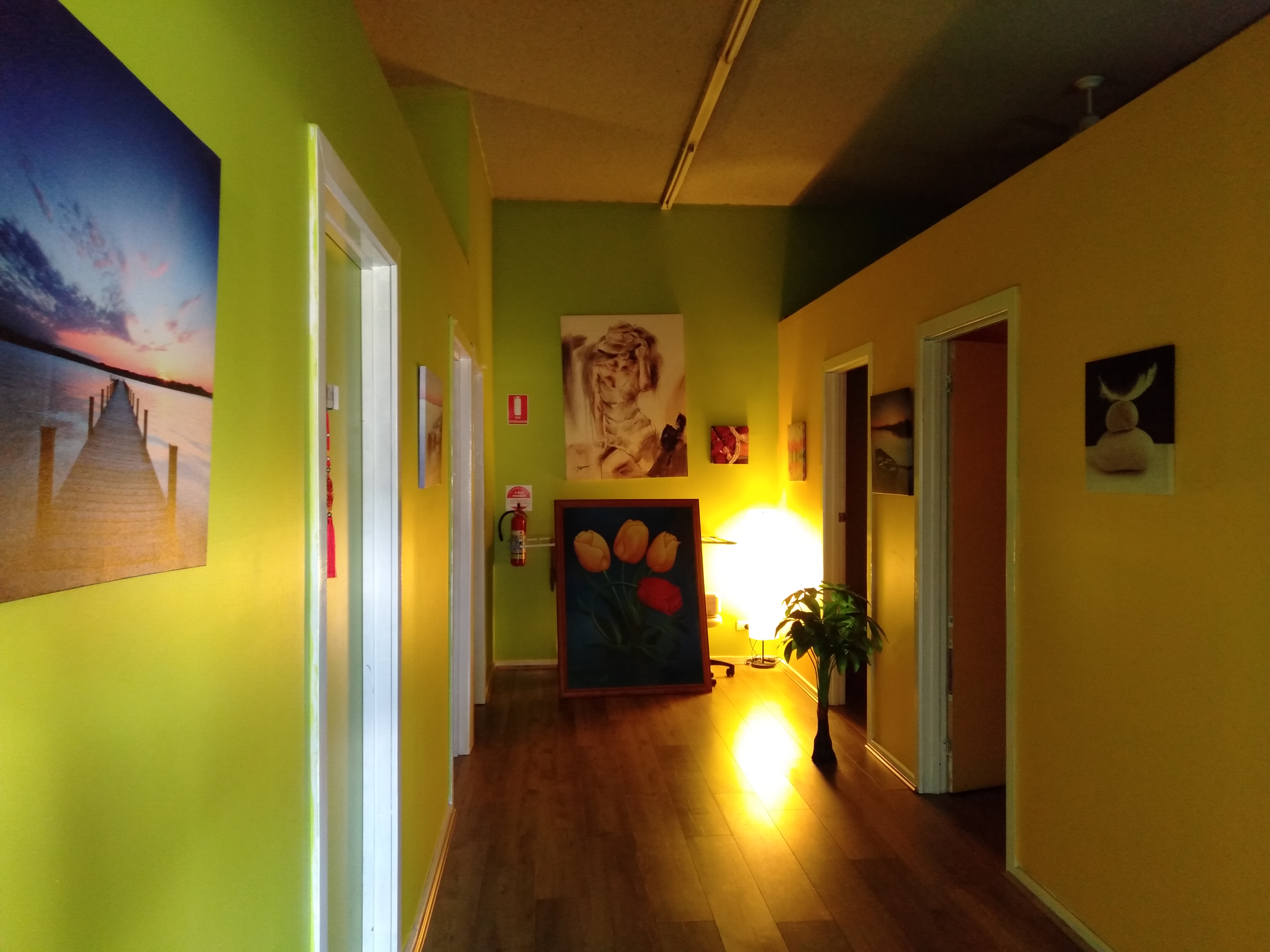 Star Therapy Care image 3