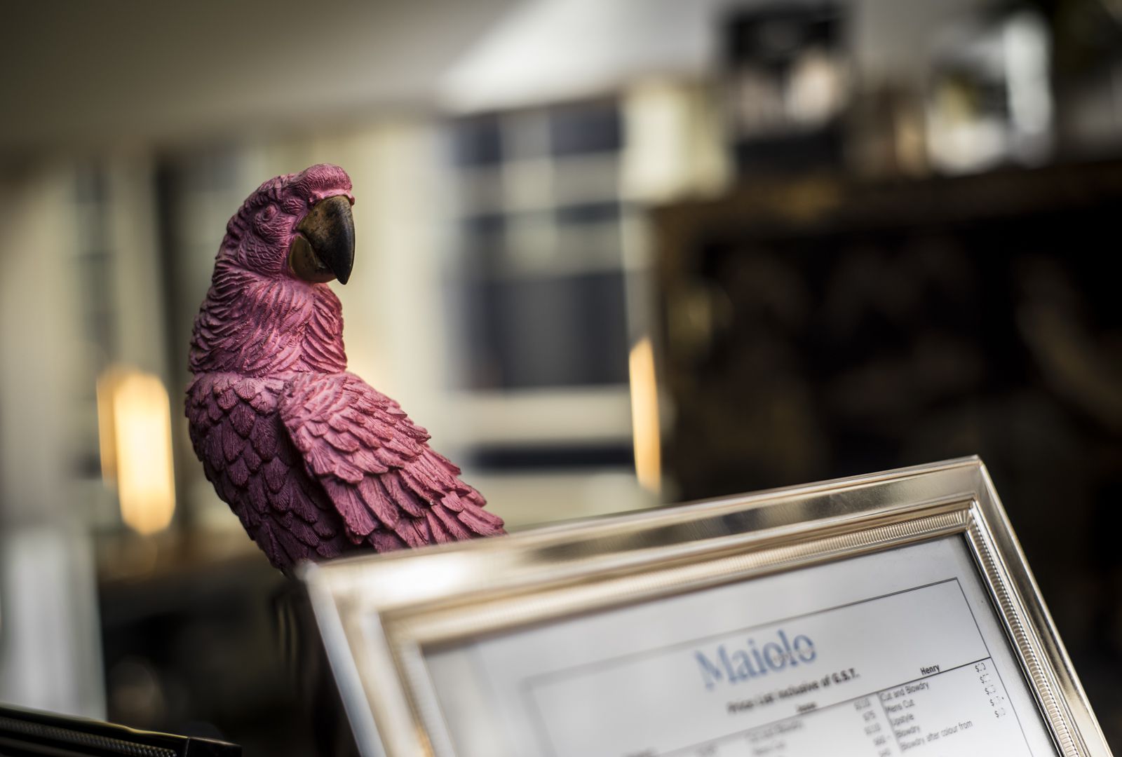 Maiolo Salon image 5