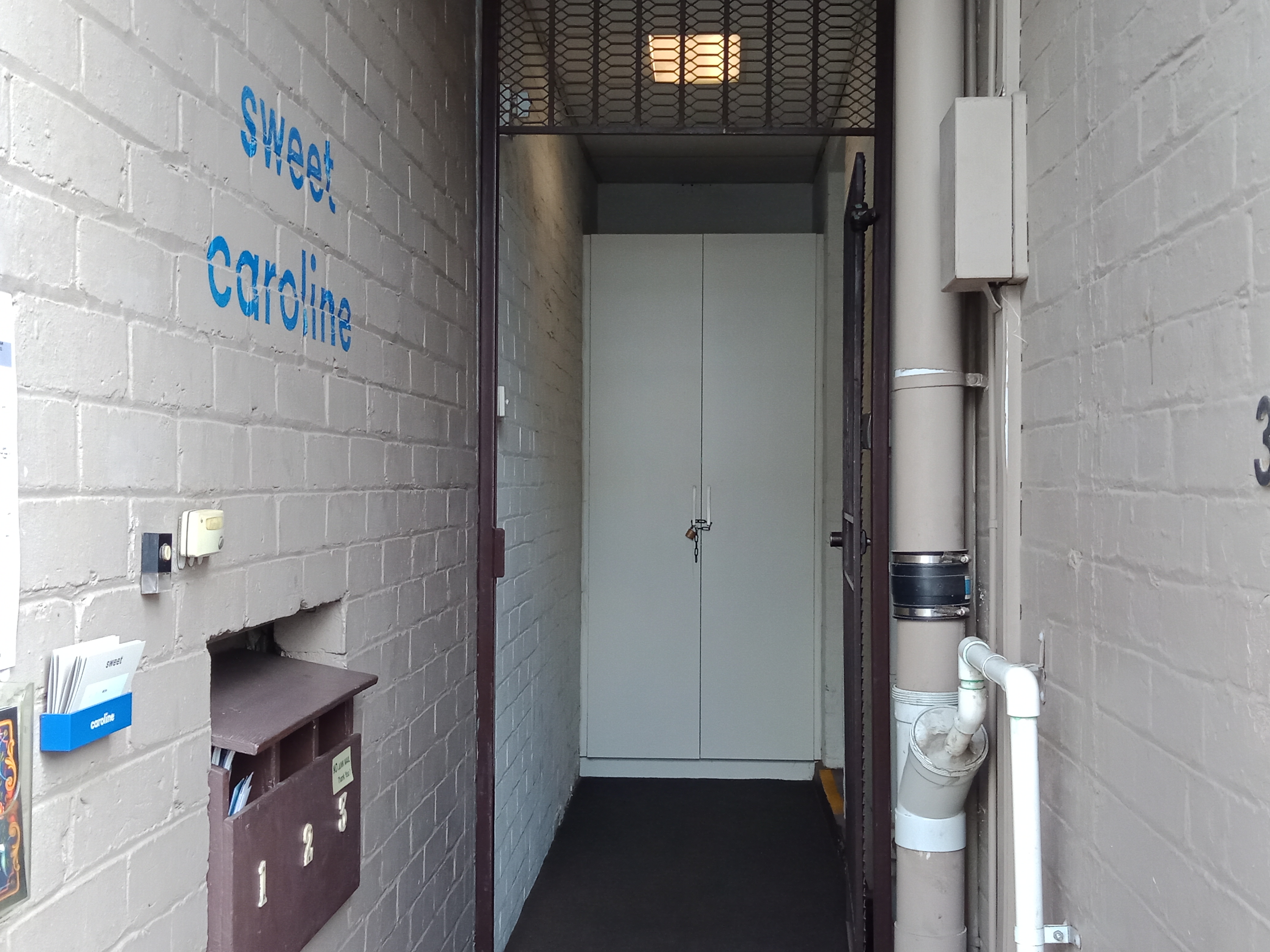 Sweet Caroline image 3