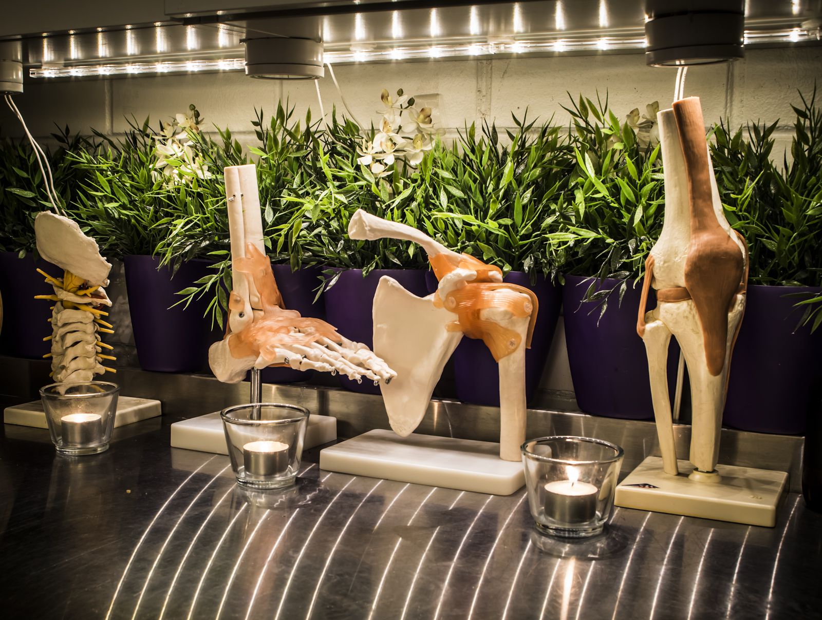 Bounce Rehab - 183 Harris St image 5