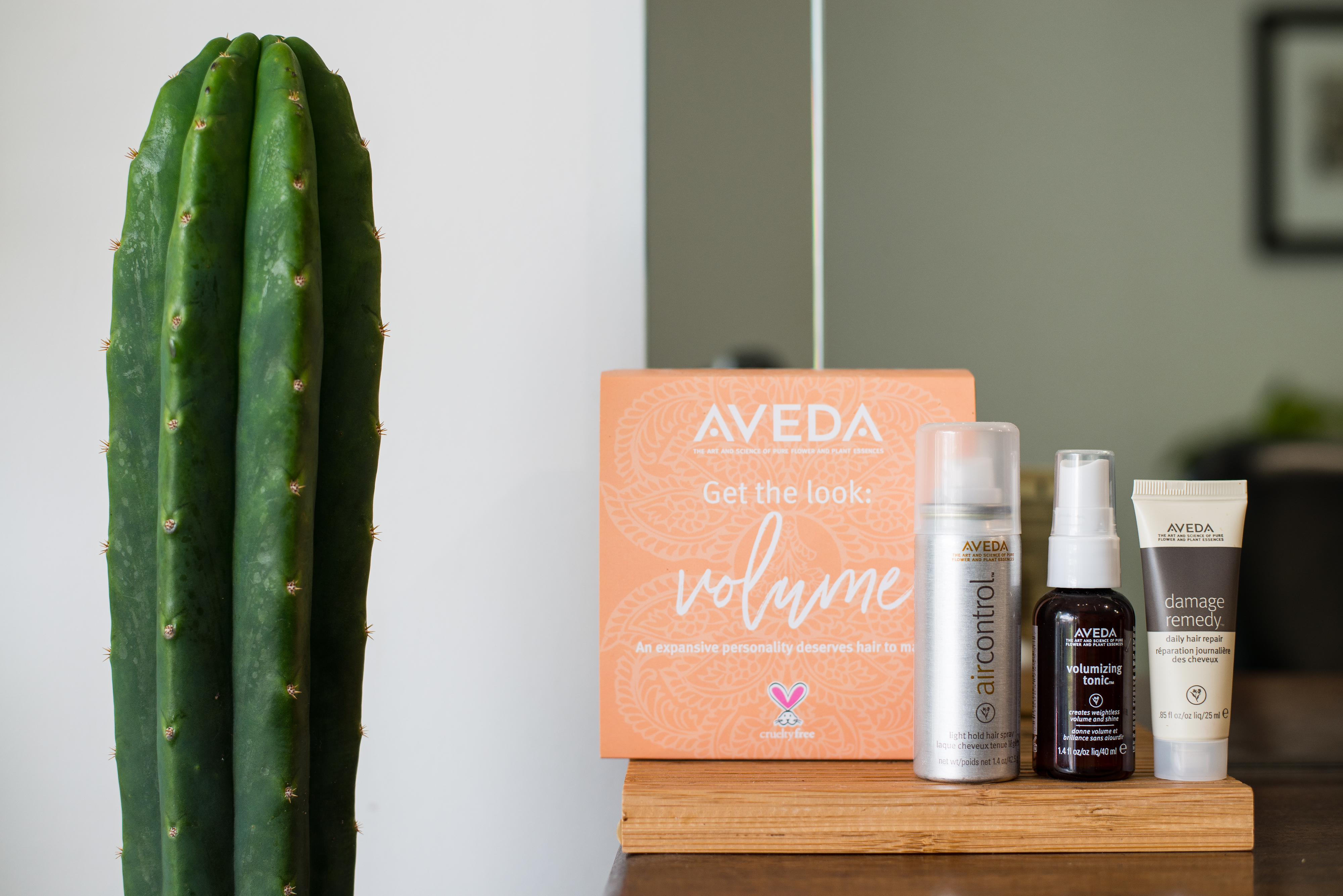 The Halo Room image 15