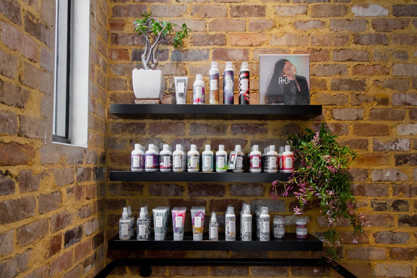 Marc & Maxwell image 11