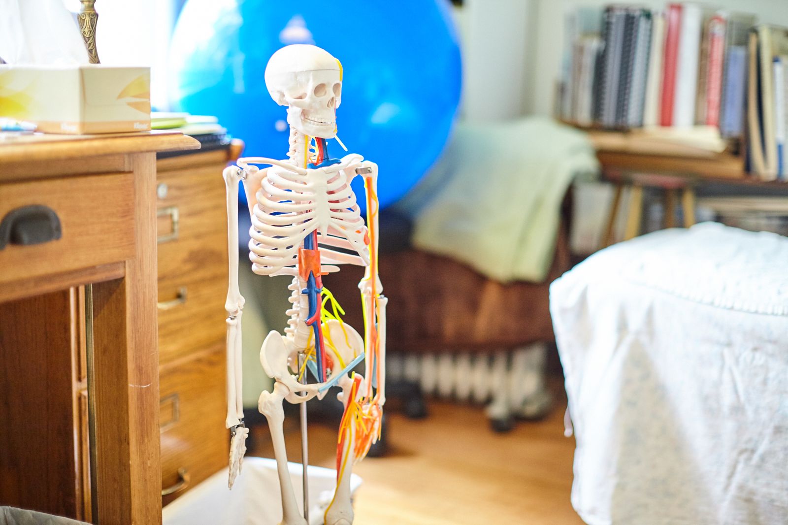 Mornington Kinesiology - Margaret Howden image 13