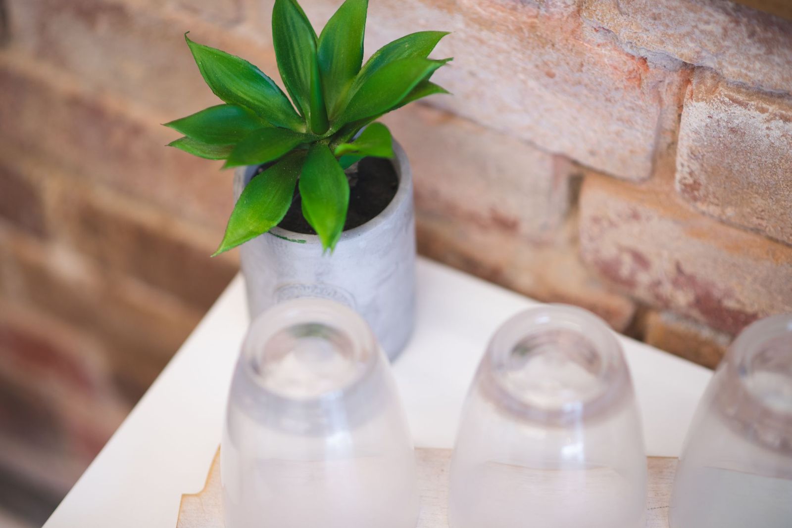 Butterfly Kiss Beauty image 12