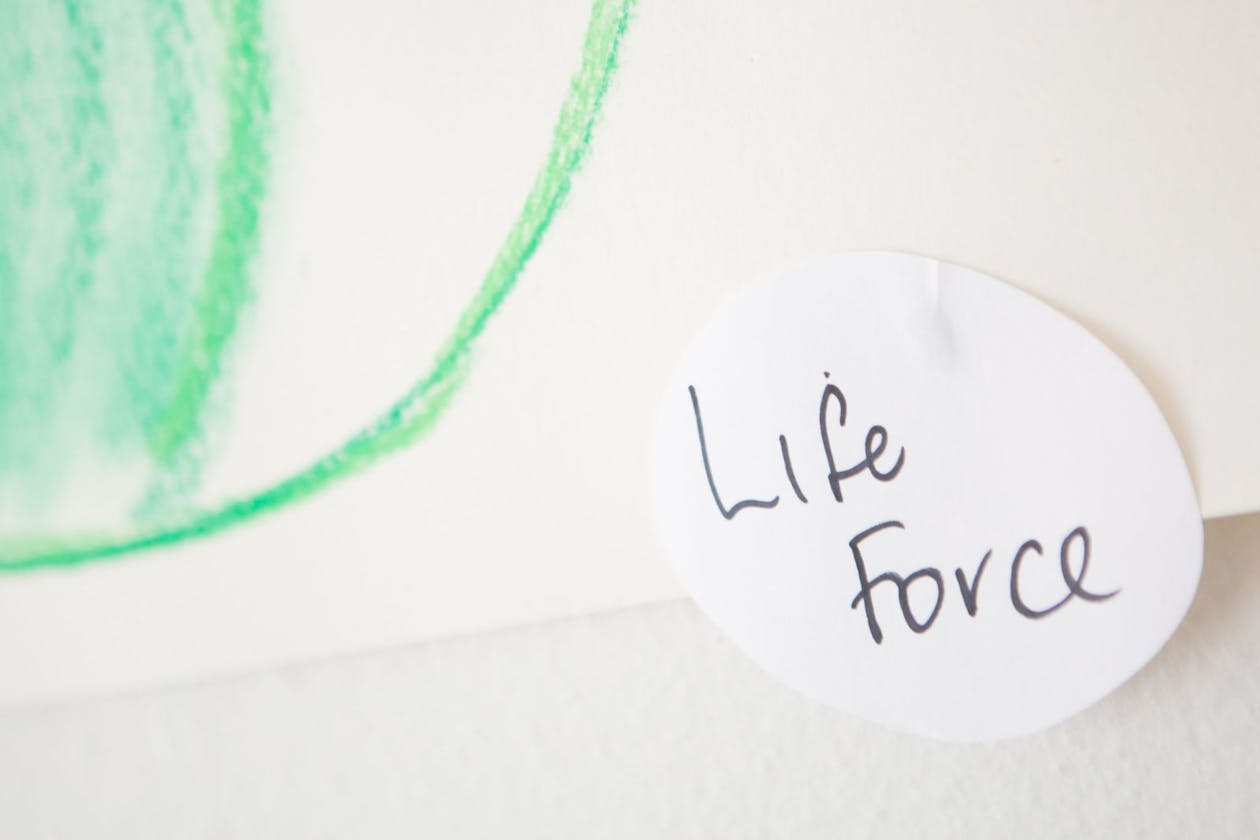 Core Wisdom image 10